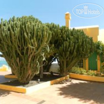 Caleta Playa Apartments 