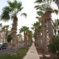 Cay Beach Villas Сад
