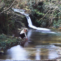Amalurra
