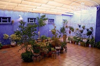 New photos from tourists Ayamontino Hotel 2*