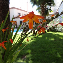 El Palacio de Monfarracinos