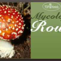 La Reserva de San Leonardo