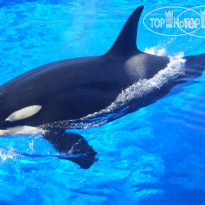 Hotel Botanico & The Oriental Spa Garden 