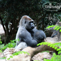 Hotel Botanico & The Oriental Spa Garden 