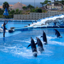 Ritz-Resorts Tenerife
