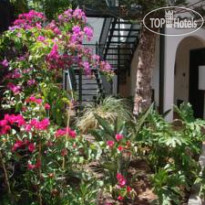 Apartamentos Don Diego 