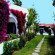 Miraflor Suites  
