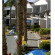 Sunsuites Carolina 