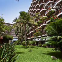 Occidental Margaritas 