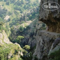 Arcea Mirador de Cabrales 