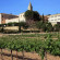 Monestir de Les Avellanes 