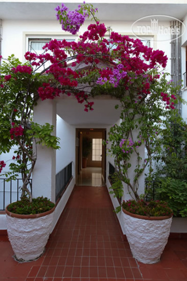 New photos from tourists Ninays 2*