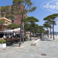 Apartamentos Delfin