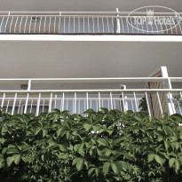 Acapulco Hotel outdoors