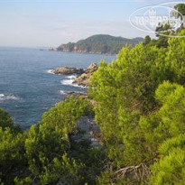 Apartamentos Playas Lloret 