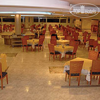 Kaktus Albir 