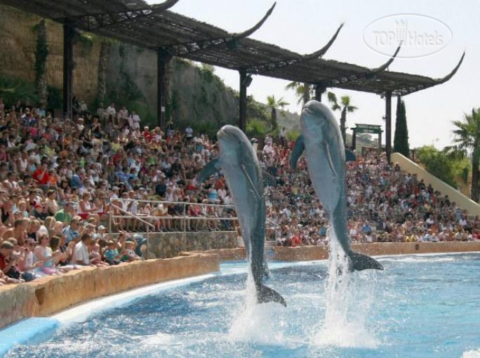 New photos from tourists Residence Benidorm Levante 