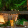 Areca 