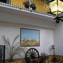 Villa Albero 