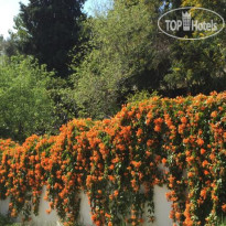 Finca La Tierra  