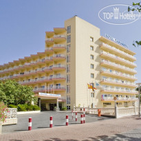 Globales Palmanova