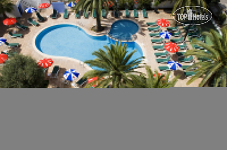 New photos from tourists Elegance Vista Blava 3*