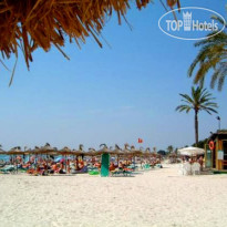 Marina Delfin Verde Alcudia 