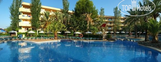 New photos from tourists Zafiro Palmanova 4*