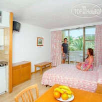 Lively Mallorca