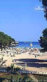 New photos from tourists Cala Gran Costa Sur 3*