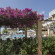 Ola Aparthotel Isabel 