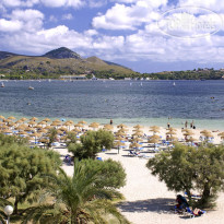 Bellamar