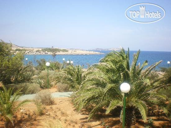 New photos from tourists Sirenis Seaview Country Club 4*