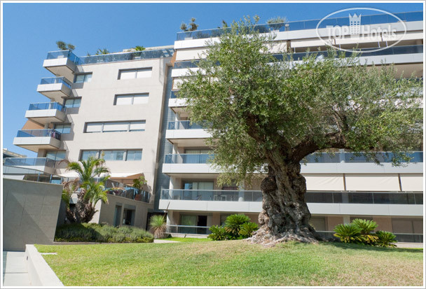 Hotel photo Albir Confort - Ibiza 