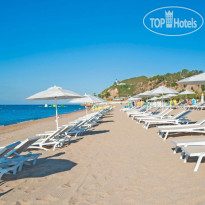 Kaktus Playa