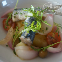 Cava & Hotel MasTinell 