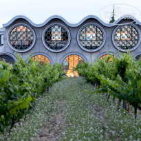 Cava & Hotel MasTinell 