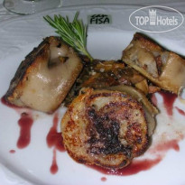 Can Fisa