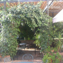 Taray Botanico 