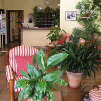 Taray Botanico 