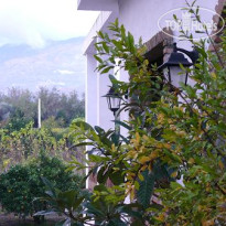 Taray Botanico 