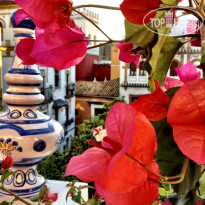 Elvira Plaza Hotel Boutique 