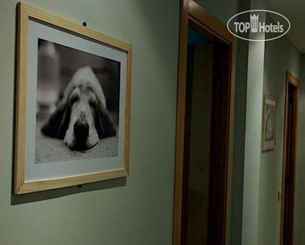 Новые добавленные фото туристов Blue Moon Apartments 2*