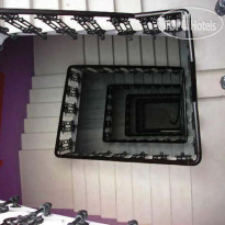 Purple Nest