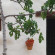 Cortijo La Alberca 