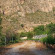 Cortijo La Alberca 
