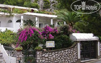 New photos from tourists Hotel Nautilus 3*