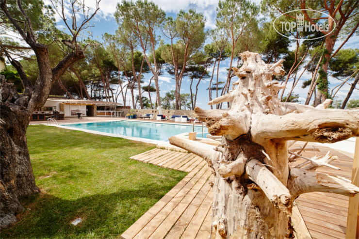 Hotel photo Praia Art Resort 5*