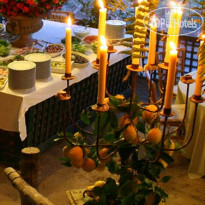 Agriturismo Fattoria Terranova