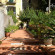 L'Argine Fiorito Hotel 